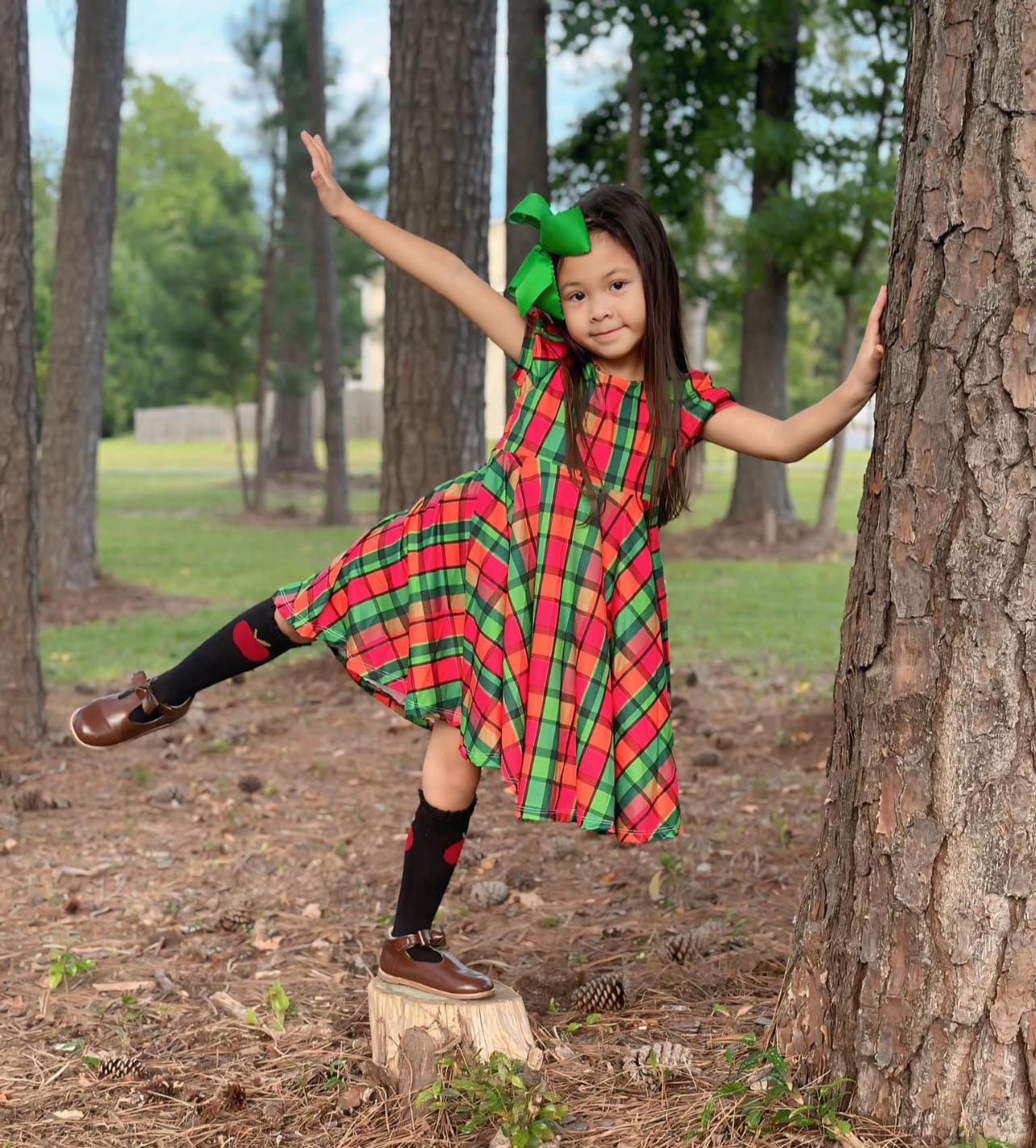 Festive Plaid