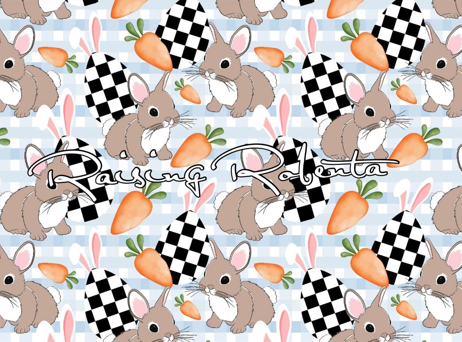 Racing Bunnies